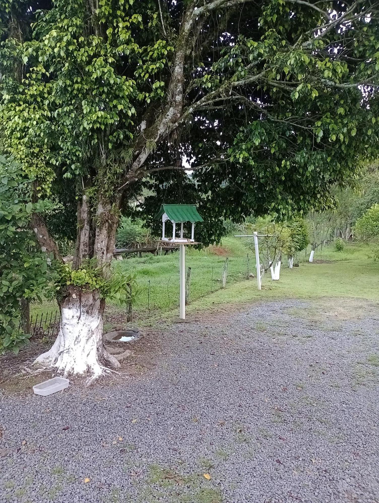 Cantinho Aconchegante Timbó Exterior foto